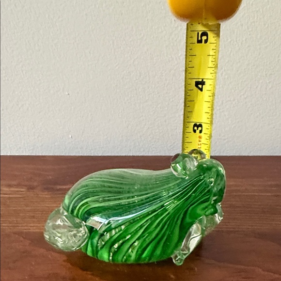 Glass Frog - Picture 8 of 9